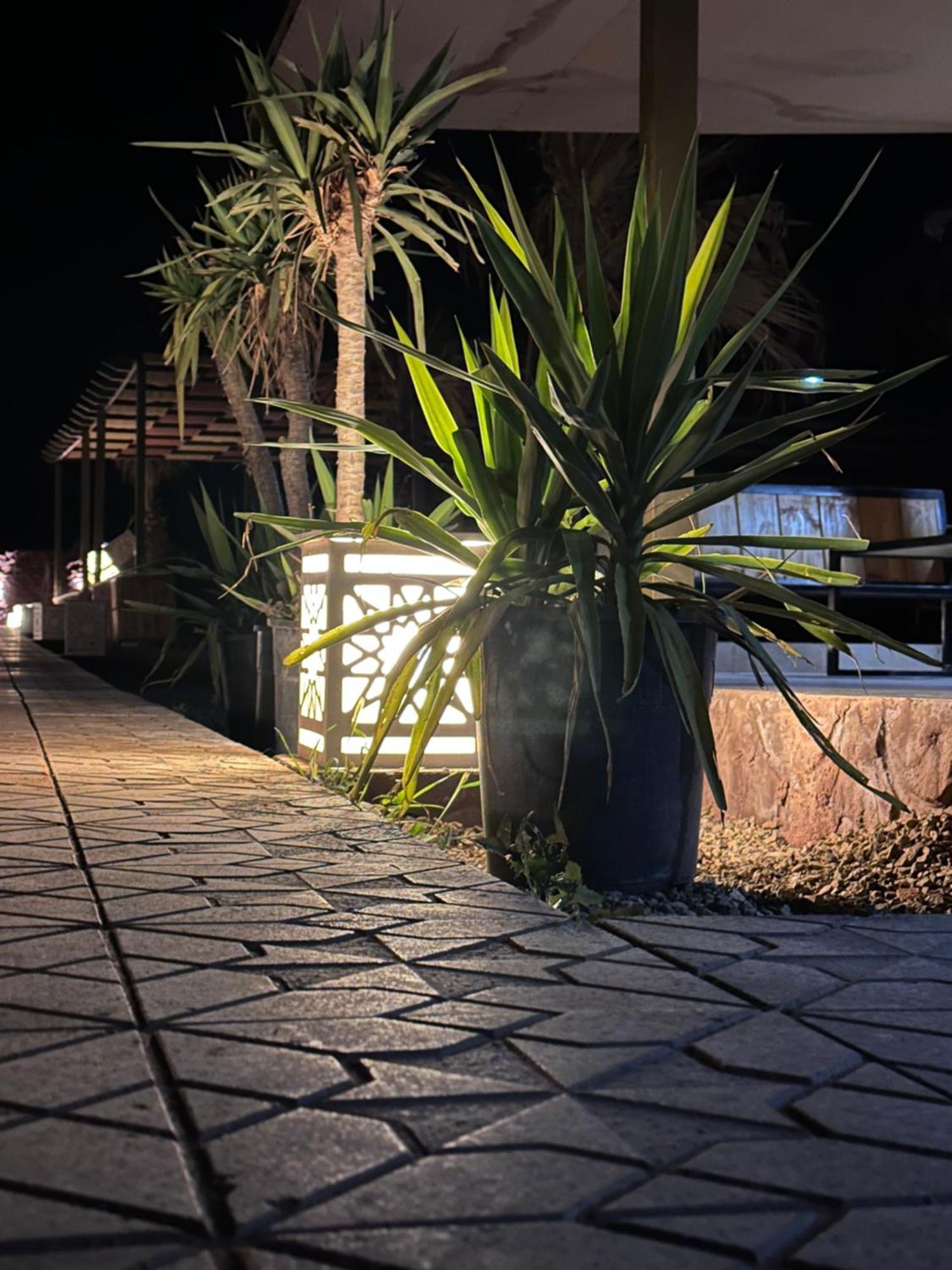 Rum Relaxation Luxury Camp Ваді-Рам Екстер'єр фото